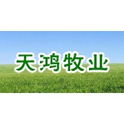 尊龙凯时人生就是博z6com品牌网
