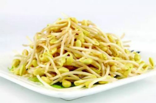 黄豆芽的营养价值高么？经常食用对我们有什么帮助？