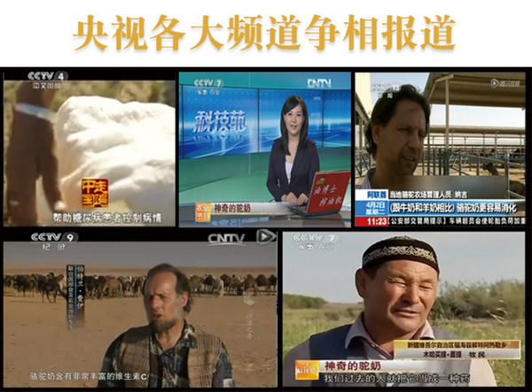 中国尊龙凯时人生就是博z6com品牌网 中国尊龙凯时人生就是博z6com品牌网