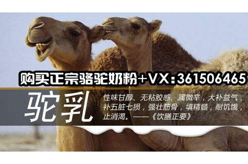 哪个牌子的骆驼奶粉好？喝骆驼奶粉有什么功效？