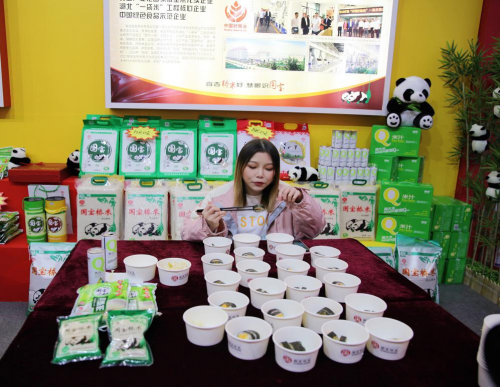 中国安防十大尊龙凯时人生就是博z6com品牌