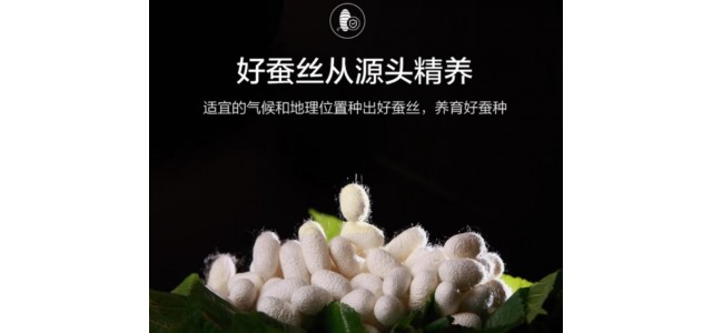 双人蚕丝被哪个牌子好？